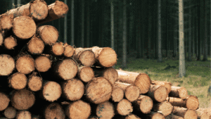 logging grinder in BC